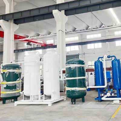 Generatore di azoto PSA ad alta capacità 1-2000 m3/h per l'industria farmaceutica con 220-575V di tensione e 12 mesi di garanzia